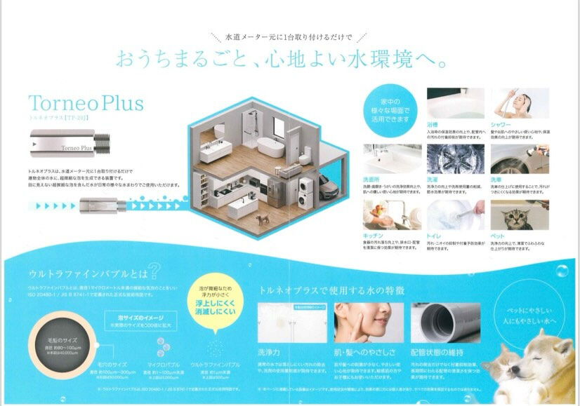 こんにちは🏠✨